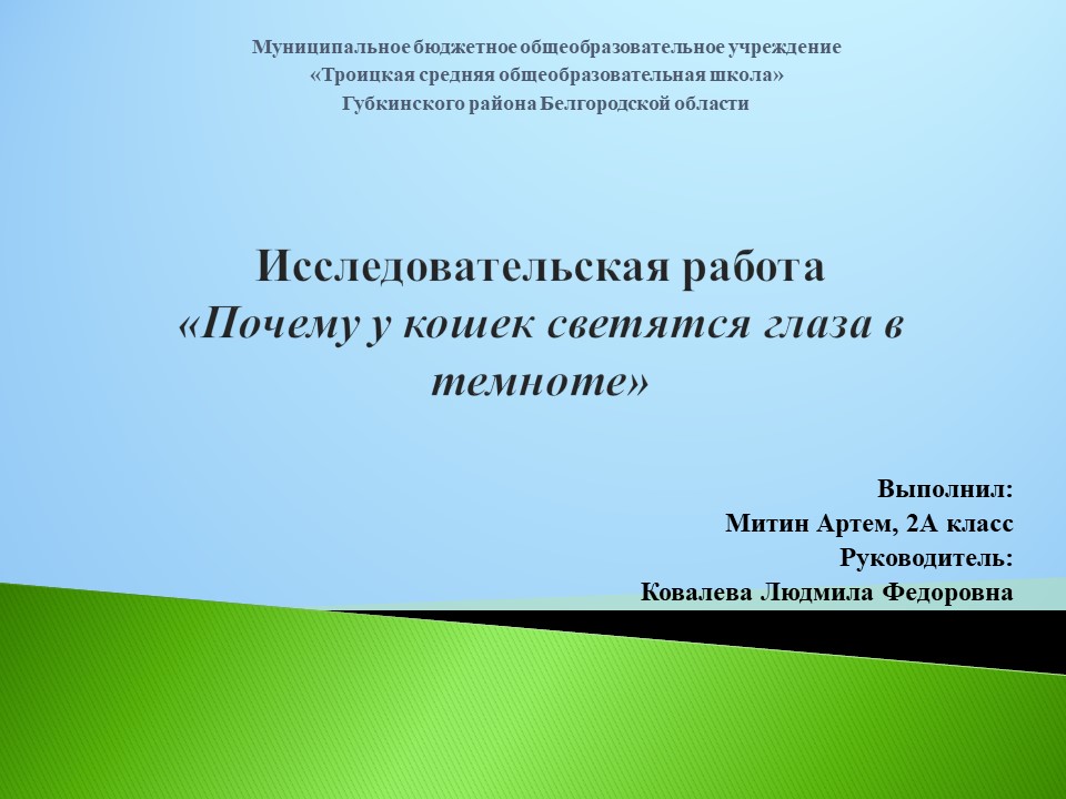 «Первые шаги в науке».